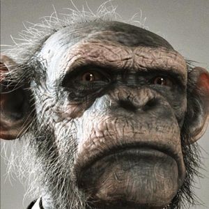 Meet your Posher, Jay